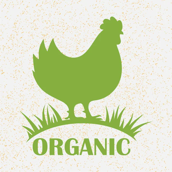Logotipo de frango premium. Etiquetas, crachás e elementos de design. Estilo orgânico retrô. Ilustração vetorial . — Vetor de Stock