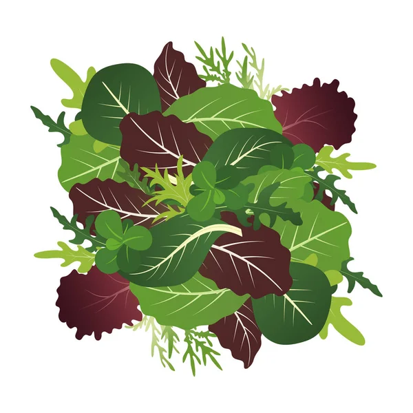 Mezcla de hojas de ensalada. Arúgula, espinacas y hoja de lechuga. Ilustración vectorial en estilo plano . — Vector de stock