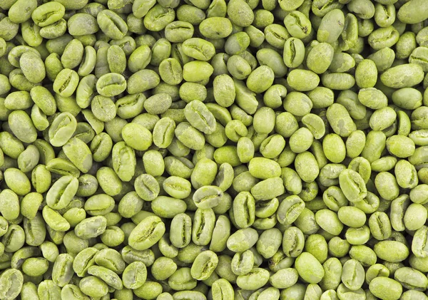 Green coffee beans background. Medium green peaberry coffee beans.