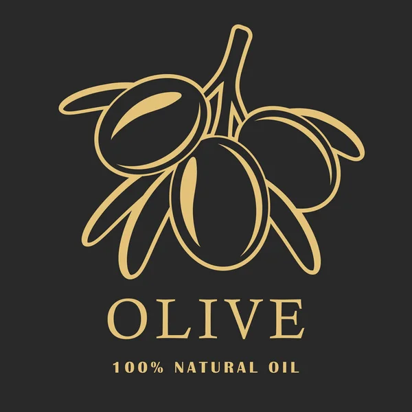 Oliv mit Blättern auf dunklem Hintergrund. Olivenlogo. Vektorillustration. — Stockvektor