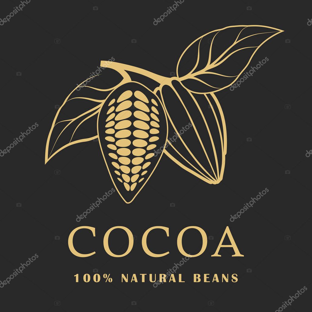 Cocoa beans with leaves on dark background. Cacao logo. Vector illustration