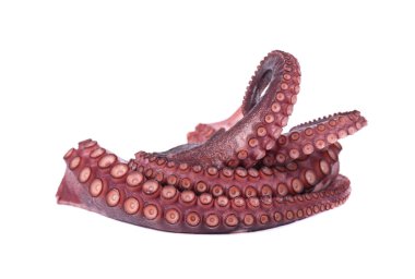 Beyaz arka plan üzerinde izole taze ahtapot. Taze ahtapot tentacles izole.