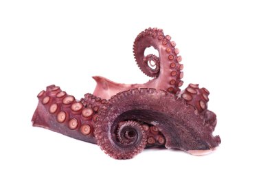 Beyaz arka plan üzerinde izole taze ahtapot. Taze ahtapot tentacles izole.