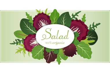 Salata karışımı bırakır. Roka, ıspanak ve marul yaprağı. Düz stil vektör çizim ayarla.