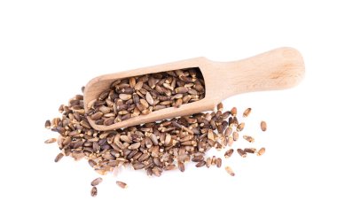 Beyaz arka plan üzerinde izole ahşap bir kaşık, Milk Thistle tohum. Silybum marianum, Scotch Thistle veya Marian Thistle. Close.