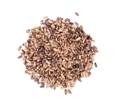 Süt devedikeni tohumu, beyaz arka planda izole edilmiş. Silybum marianum, Scotch Thistle veya Marian Thistle. Yakın plan. Üst görünüm.