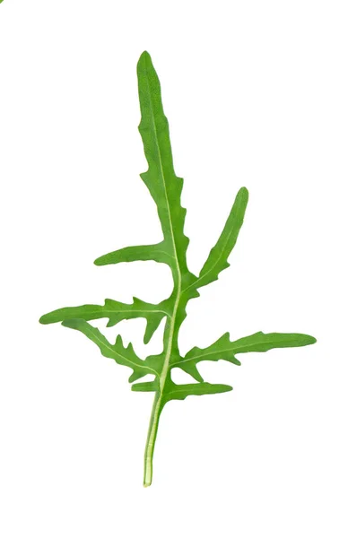 Fresh arugula leaf isolated on white background. Clipping path. Top view. — Stock Photo, Image