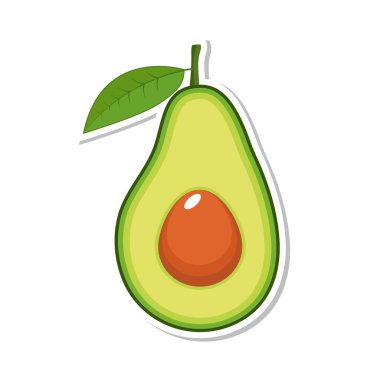 Avokado meyve. Beyaz arka plan üzerinde izole meyve. Vektör çizim.