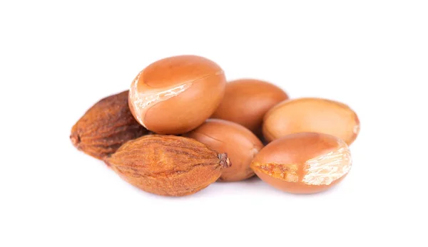 Argan semena, izolovaná na bílém pozadí. Argan ořechy a olej pro kosmetické a kosmetický výrobky. Plody přírodního argániového z Maroka. — Stock fotografie