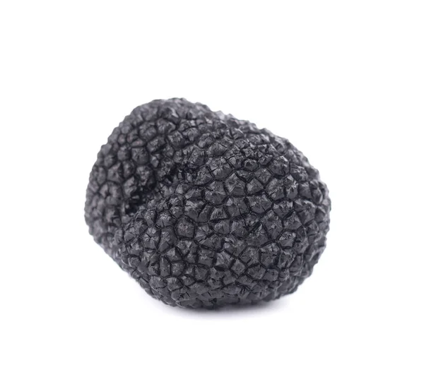 Black truffles isolated on a white background. Delicacy exclusive truffle mushroom. Piquant and fragrant French delicacy. Clipping path. — Stock Photo, Image