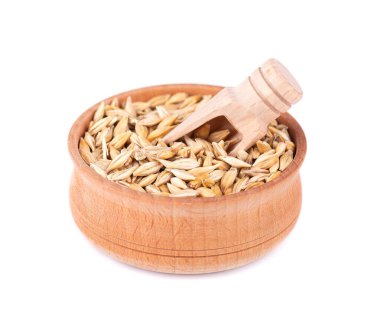 Ahşap kasede beyaz arka planda izole edilmiş arpa taneleri. Arpa tohumu yakın..