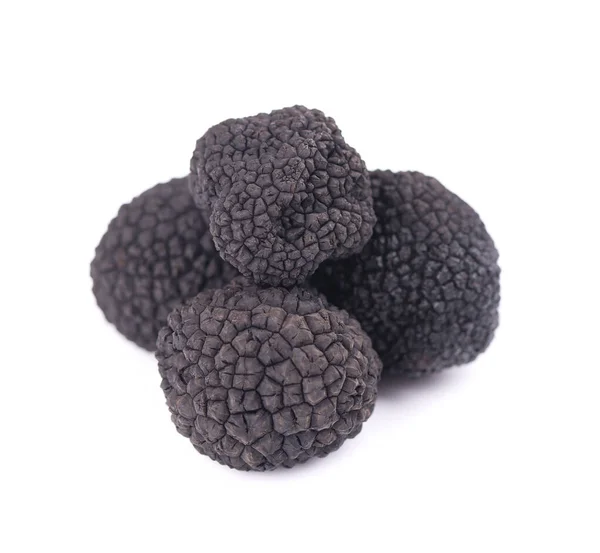 Black truffles isolated on a white background. Delicacy exclusive truffle mushroom. Piquant and fragrant French delicacy. Clipping path. — Stock Photo, Image