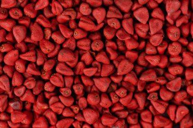 Annatto seeds, achiote seeds, bixa orellana background. Natural dye for cooking and food. Close-up. clipart