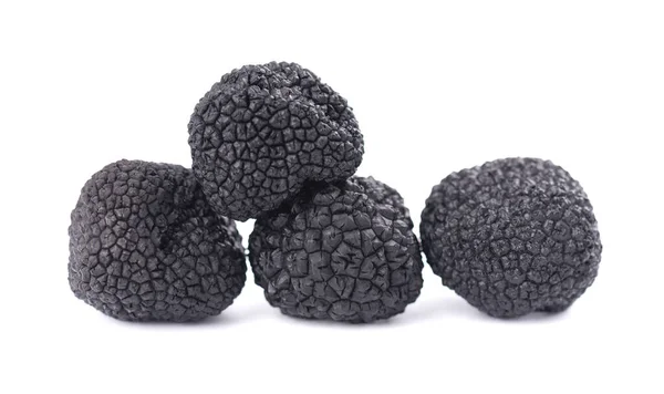 Black truffles isolated on a white background. Delicacy exclusive truffle mushroom. Piquant and fragrant French delicacy. Clipping path. — Stock Photo, Image