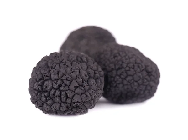 Black truffles isolated on a white background. Delicacy exclusive truffle mushroom. Piquant and fragrant French delicacy. Clipping path. — Stock Photo, Image