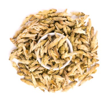 Beyaz arka planda izole edilmiş beyaz çay. Puer 'in eski ağaçlarından tomurcuklar. Çin Yabao çayına yakın çekim. Organik çay. Üst Manzara. Kapat.