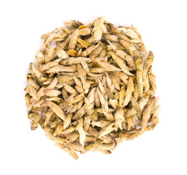 Beyaz arka planda izole edilmiş beyaz çay. Puer 'in eski ağaçlarından tomurcuklar. Çin Yabao çayına yakın çekim. Organik çay. Üst Manzara. Kapat.