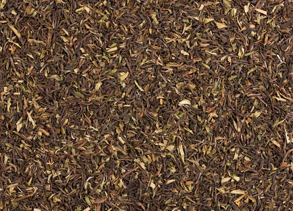 Fekete Tea Darjeeling Organikus Tea Háttér Első Látásra Közelről — Stock Fotó