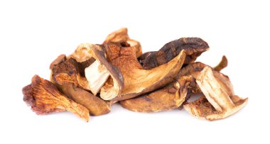 Beyaz arka planda izole edilmiş kurutulmuş mantarlar. Kurutulmuş orman mantarları. Kapat.