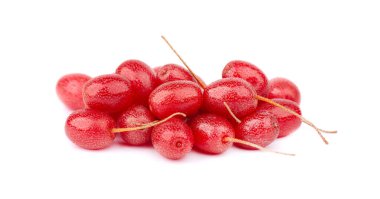 Elaeagnus multiflora beyaz arka planda izole edilmiş. Kirazlı elaeagnus, kirazlı gümüş çilek, gumi, gumi