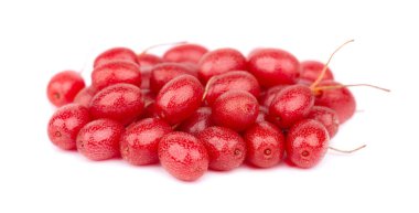 Elaeagnus multiflora beyaz arka planda izole edilmiş. Kirazlı elaeagnus, kirazlı gümüş çilek, gumi, gumi