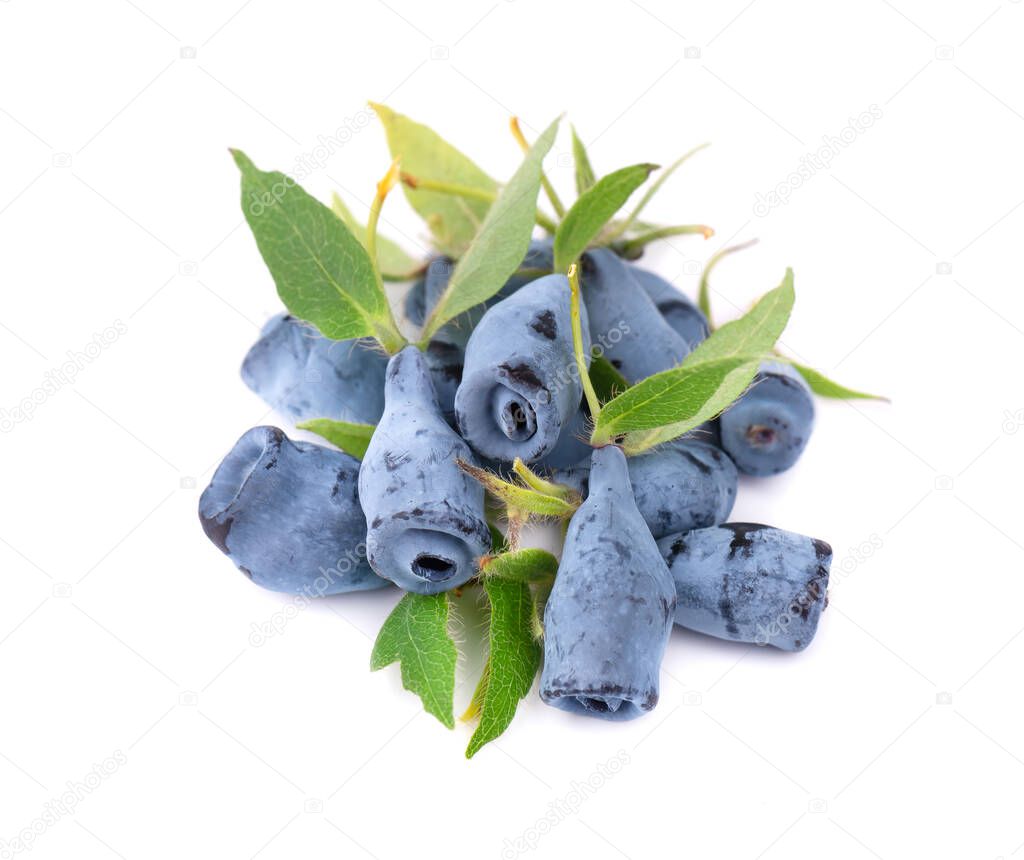 Fresh honeysuckle blue berry fruits with leaf, isolated on white background