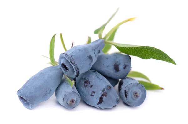 白い背景に隔離された葉を持つ新鮮なスイカズラの青い果実 — ストック写真