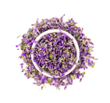 Lavanta çiçekleri, beyaz arka planda izole edilmiş. Lavanta çiçeği yaprakları. Şifalı bitkiler. Üst görünüm