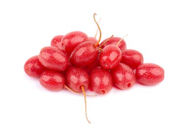 Elaeagnus multiflora beyaz arka planda izole edilmiş. Kirazlı elaeagnus, kirazlı gümüş çilek, gumi, gumi