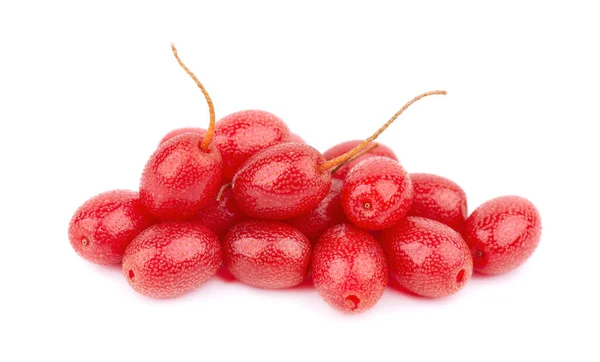 Elaeagnus Multiflora Izolované Bílém Pozadí Cherry Elaeagnus Cherry Silverberry Goumi — Stock fotografie