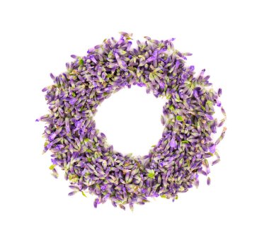 Lavanta çiçekleri, beyaz arka planda izole edilmiş. Lavanta çiçeği yaprakları. Şifalı bitkiler. Üst görünüm.