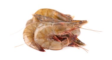 Beyaz arka planda çiğ karides. Çiğ karides.