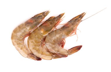 Beyaz arka planda çiğ karides. Çiğ karides.