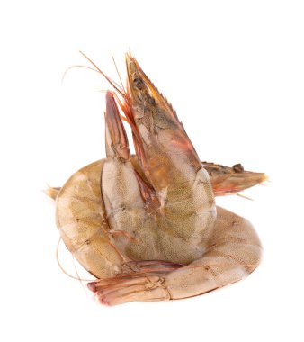 Beyaz arka planda çiğ karides. Çiğ karides.