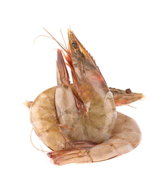 Krewetka zatoki dublinu Stock Photos, Royalty Free Krewetka zatoki