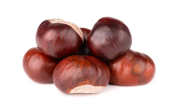 Häst kastanjer frukter, isolerade på vit bakgrund. Aesculus hippocastanum. — Stockfoto