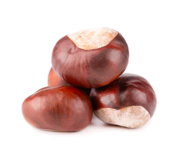 Häst kastanjer frukter, isolerade på vit bakgrund. Aesculus hippocastanum. — Stockfoto