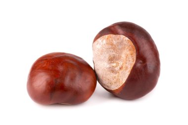 Beyaz arka planda izole edilmiş at kestanesi meyveleri. Aesculus hipocastanum.