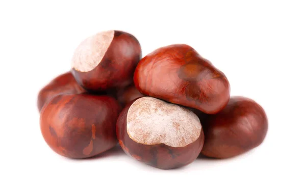 Horse chestnuts fruits, isolated on white background. Aesculus hippocastanum. — Stock Photo, Image