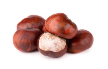 Beyaz arka planda izole edilmiş at kestanesi meyveleri. Aesculus hipocastanum