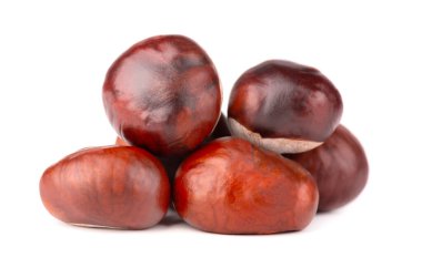 Beyaz arka planda izole edilmiş at kestanesi meyveleri. Aesculus hipocastanum