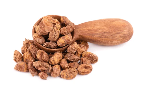 Beyaz arka planda izole edilmiş kaplanlar. Chufa fındığı ya da tahta kaşıkta kaplan fındığı