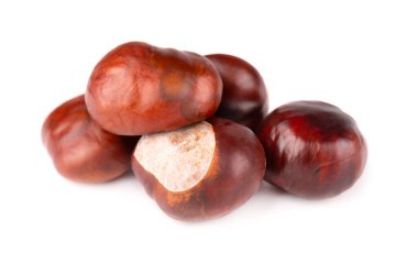 Beyaz arka planda izole edilmiş at kestanesi meyveleri. Aesculus hipocastanum