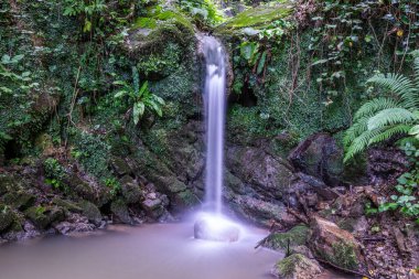 Kusursuz Üçgen Şekiller, Ak Yıldız Işığı, Pembe, Geometrik, Tekstil, Tahta, Türk Döşemeleri, Endüstri