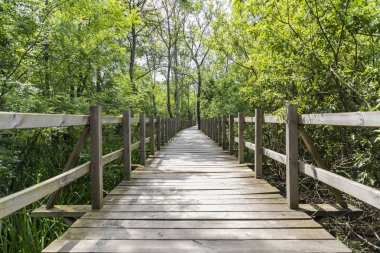 Acarlar Sel Ovası Ormanı (Türkçe: Acarlar Golu Longozu), Sakarya ilinin Sakarya ilçesinde yer alan bir sel yatağı ormanı..