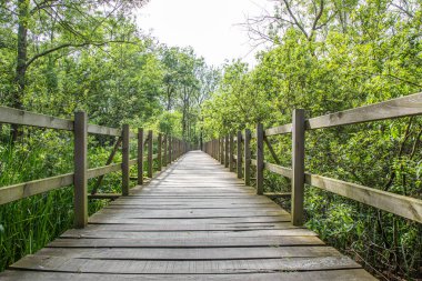 Acarlar Sel Ovası Ormanı (Türkçe: Acarlar Golu Longozu), Sakarya ilinin Sakarya ilçesinde yer alan bir sel yatağı ormanı..