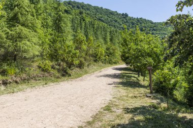 Kocaeli 'nin Yuvacik Baraj Gölü manzarası. Yapay göl, Kocaeli 'nin İzmit kenti için su sağlar..