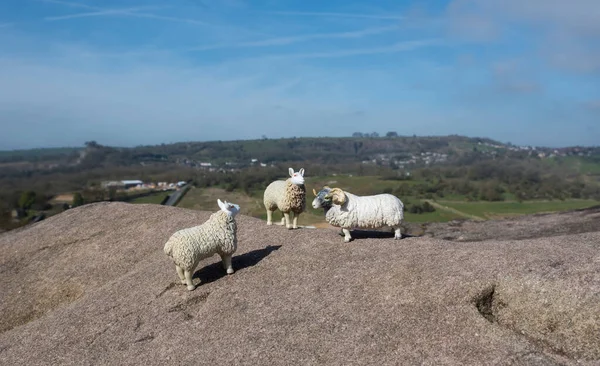 Three Toy Sheep Set Derbyshire Peak District Background — Stock fotografie