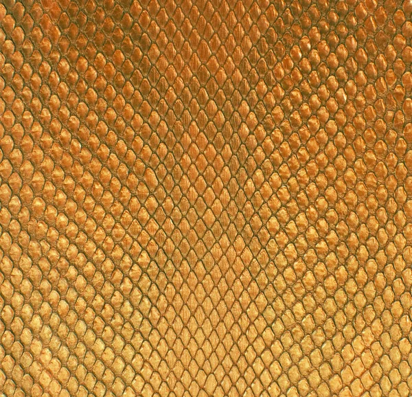 Gold Pattern — Stock Photo, Image