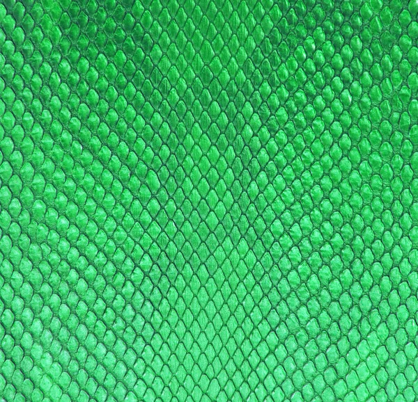 Зеленим візерунком — стокове фото